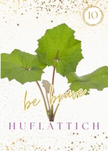 Wildkräuterkarte 10 - Huflattich