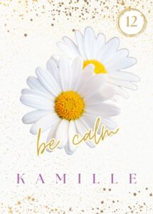 Wildkräuterkarte 12 - Kamille