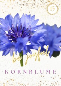 Wildkräuterkarte 15 - Kornblume