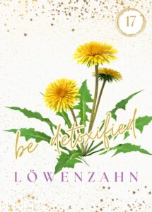 Wildkräuterkarte 17 - Löwenzahn