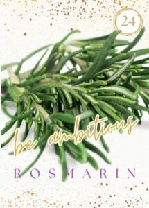 Wildkräuterkarte 24 - Rosmarin