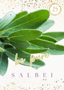 Wildkräuterkarte 25 - Salbei