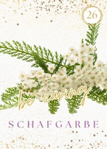 Wildkräuterkarte 26 - Schafgarbe