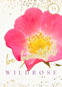 Wildkräuterkarte 35 - Wildrose