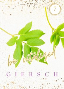 Wildkräuterkarte 7 - Giersch